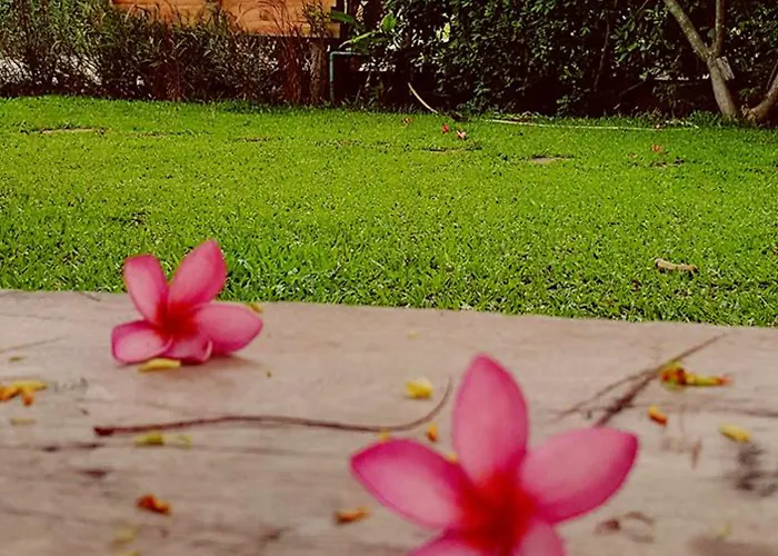 Bang Wela At Suanphung ทุ่งแฝก